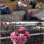 Diário de Viagem: The High Line Park NYC